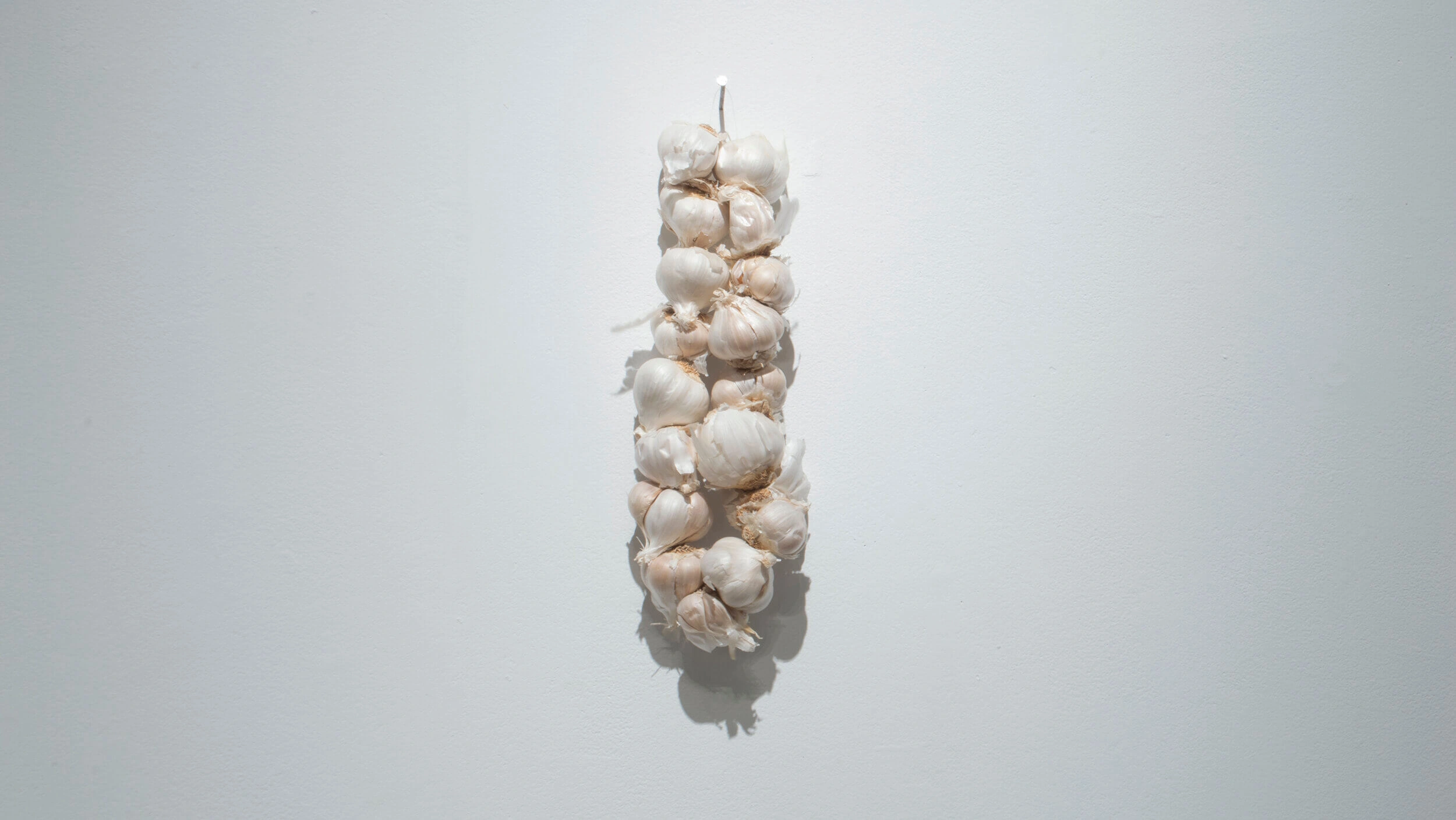 Garlic Garland from Previous Performance by Bradley Weyandt